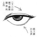 吴婉芳面相哪里克夫,哪些特征预示着克夫命运