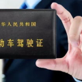 驾驶执照查询,全面了解您的驾驶记录与扣分情况